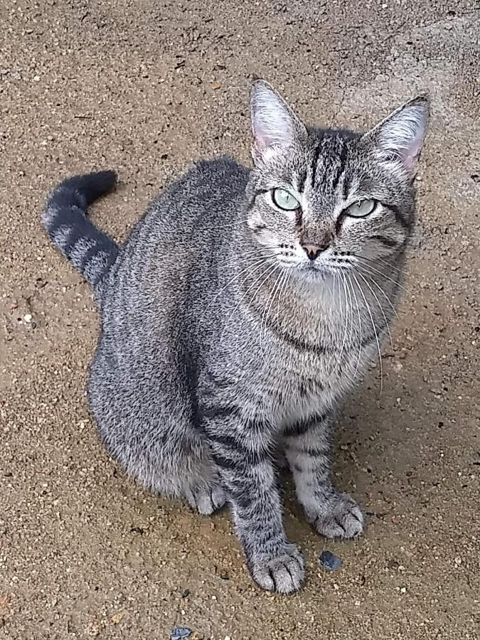 Brisa Da Serra Em Sobral-ce Inn Sobral